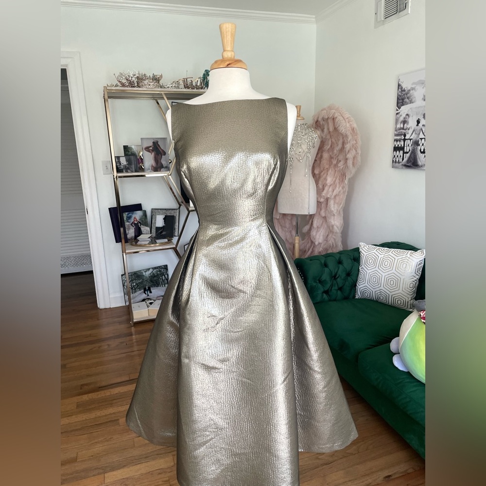 Gold/silver Adrianna Pappell gown